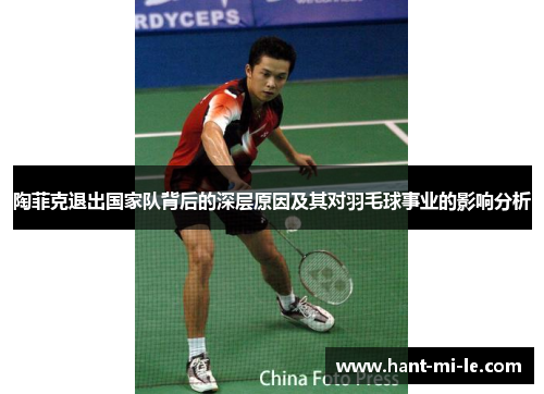陶菲克退出国家队背后的深层原因及其对羽毛球事业的影响分析