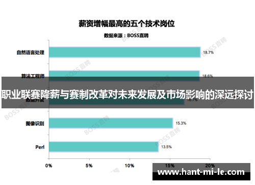 职业联赛降薪与赛制改革对未来发展及市场影响的深远探讨