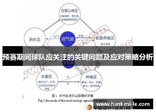 预赛期间球队应关注的关键问题及应对策略分析